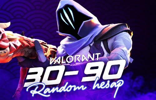 30-90 Skin Arası Random Hesap - Valorant Random Hesap